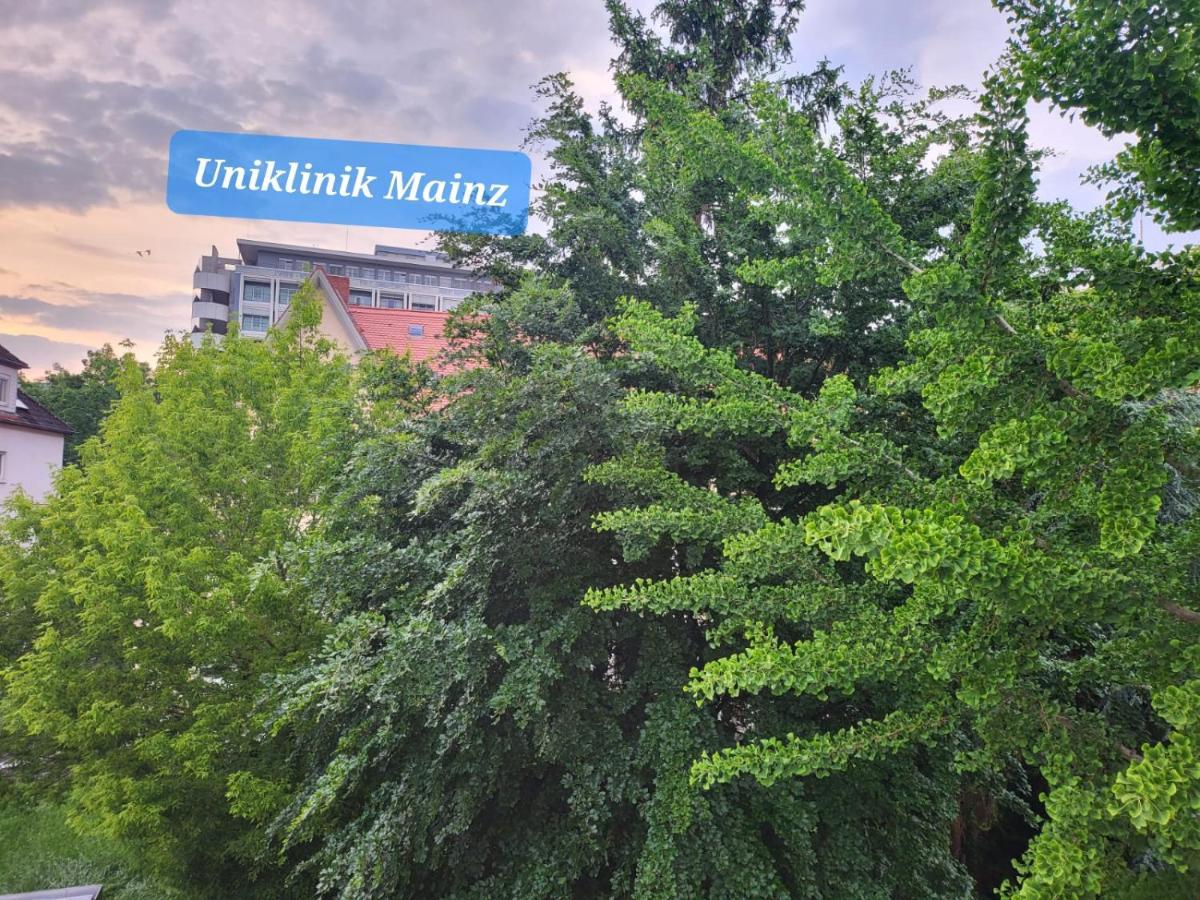 Privatunterkunft Gemutliches - Sehr Zentral An Der Uniklinik Mainz